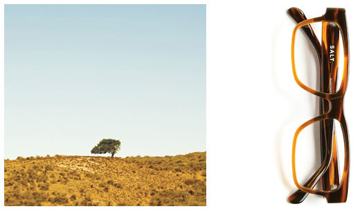 Salt Eyewear - Salt Eyeglasses Frames - Philadelphia Innervision Eyewear Exclusive